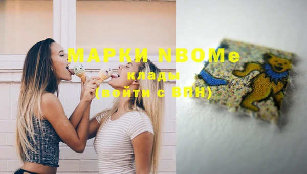 мдпв Новодвинск