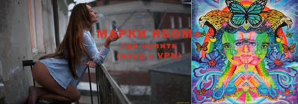 индика Нефтегорск