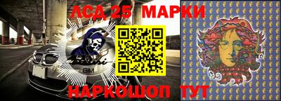прущие грибы Жуковский