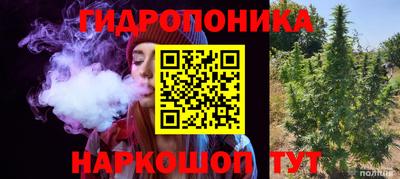 бошки Заволжье