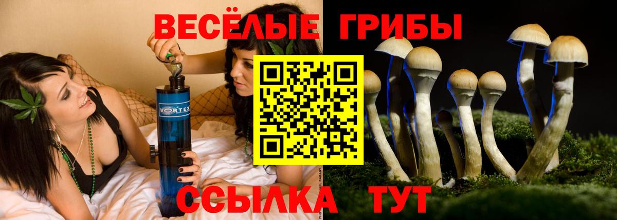 Галлюциногенные грибы GOLDEN TEACHER Удомля